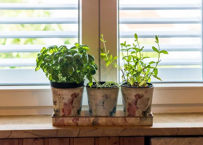 Marich Apartment Dubrovnik