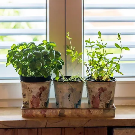 Marich Апартаменты Дубровник